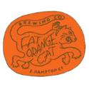 fat orange cat